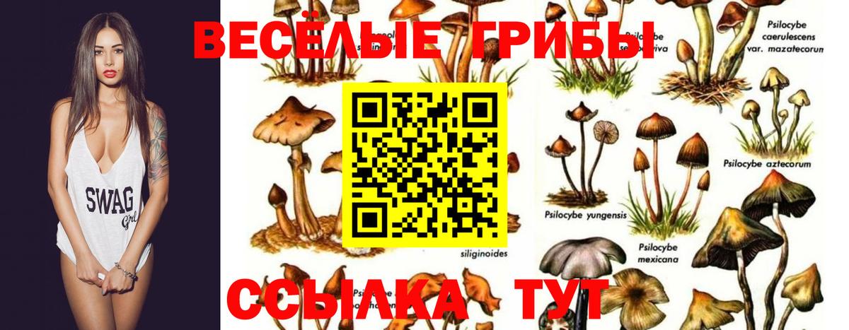 Галлюциногенные грибы Magic Shrooms Шадринск
