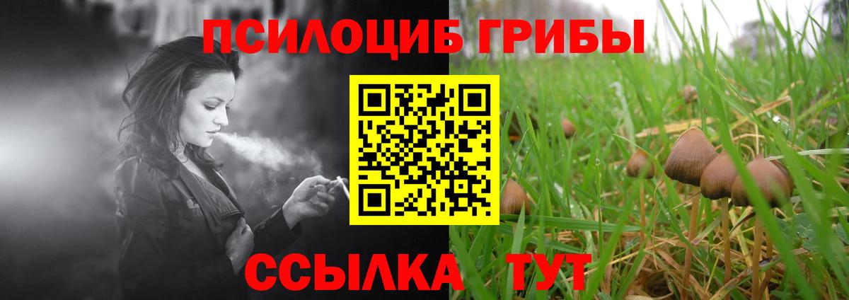 Галлюциногенные грибы Magic Shrooms  Вход с VPN  Псилоцибиновые грибы прущие грибы  Шадринск 