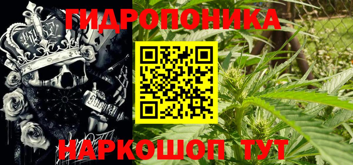 Каннабис марихуана Шадринск